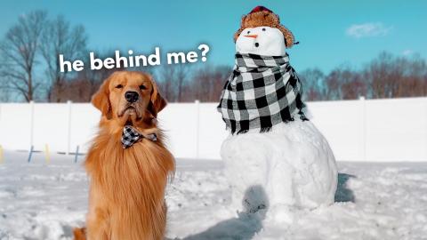 My Dog Reacts to Giant Snowman!