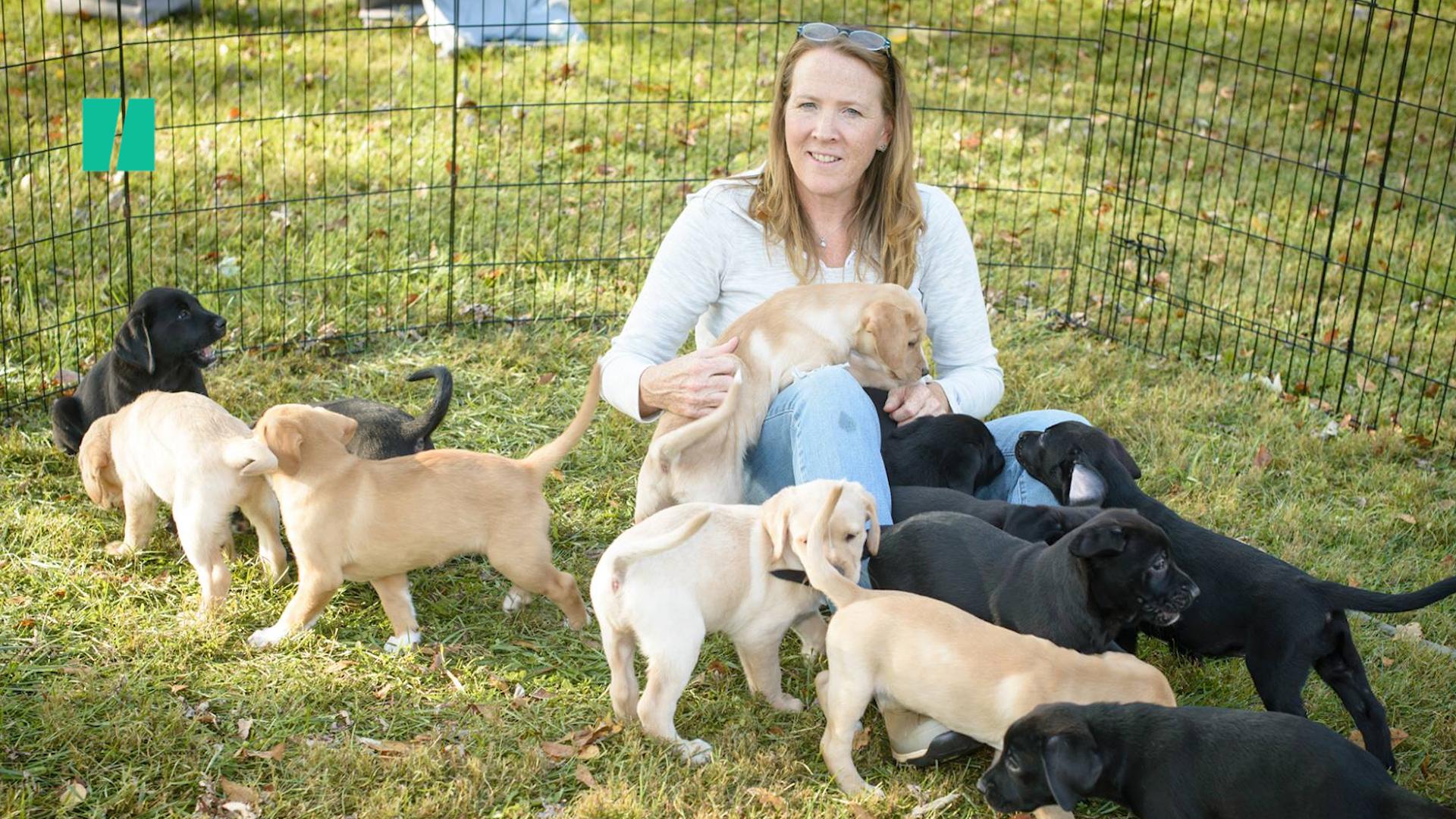 Fostering mom and sales puppies