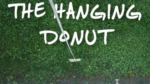 The Hanging Donut Challenge! - Quarantine Challenges Day ...