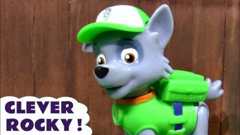 Paw Patrol Mighty Pups Clever Rocky Toy Story