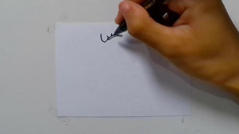 Drawing Angry Cartoon Crocodile shorts