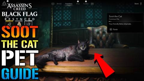 Assassins Creed_ Black Flag Resynced _Soot The Cat_ Pet G...