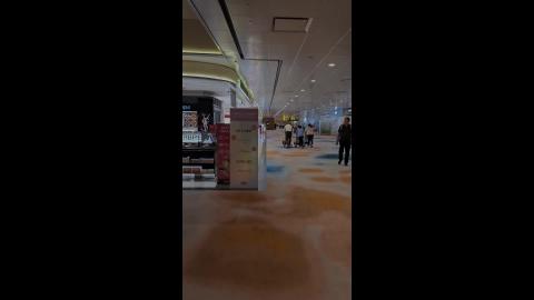 Singapore to Davao 