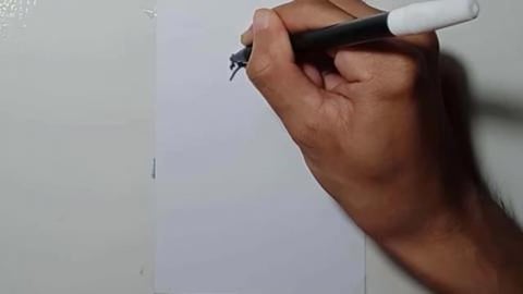 Drawing Graffity Character great white shark shorts