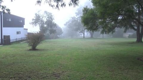 Good morning Golden Retriever Eddie