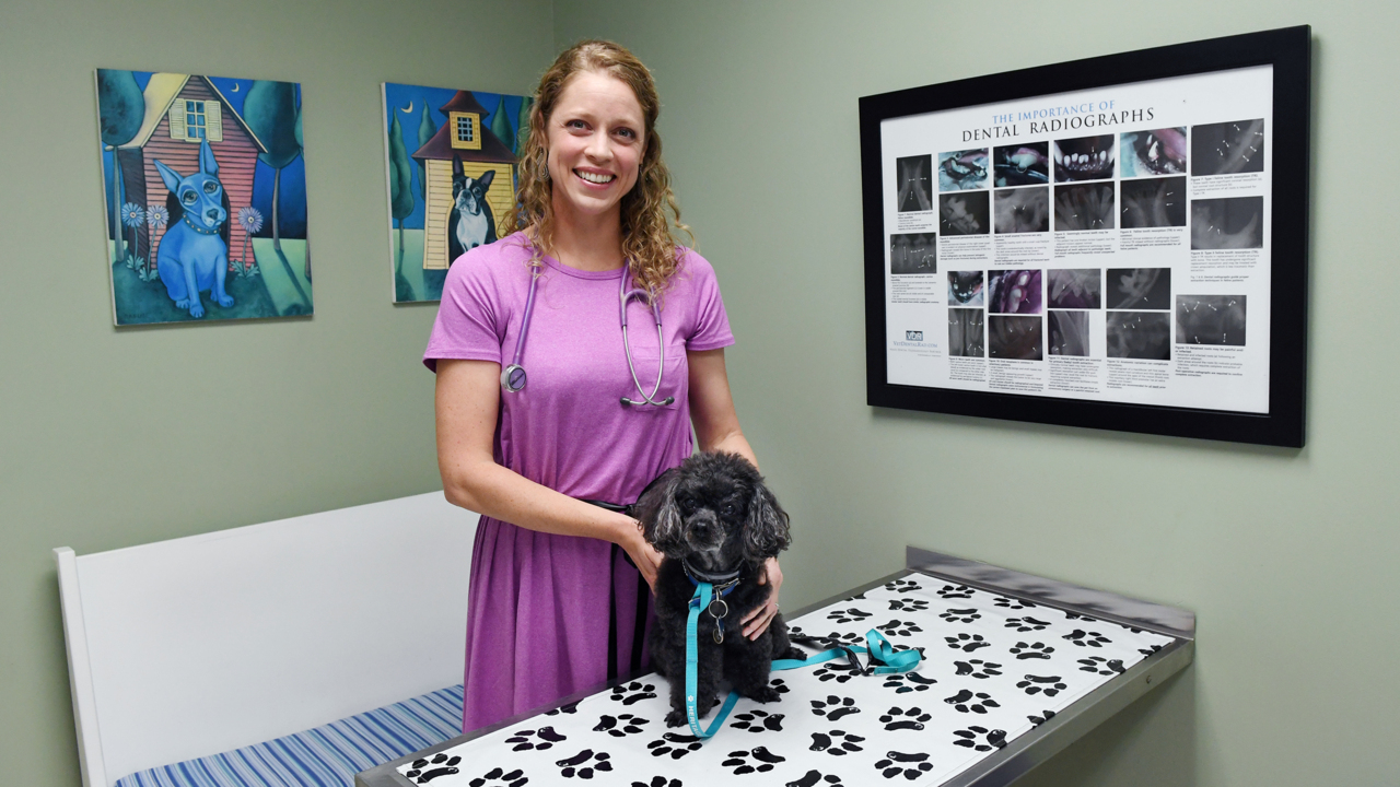 How to keep your Hilton Head dog from catching coughing illness