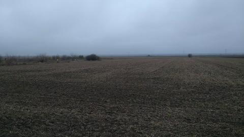 Wheat field in november...