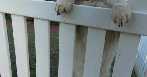 Fantastic day with friends