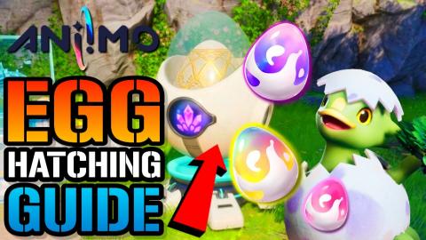 How To HATCH Eggs In ANIIMO! EASY Egg Hatching GUIDE! DON...