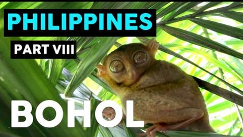 ISLAND OF BOHOL- THE ULTIMATE ADVENTURE TOUR // PHILIPPIN...