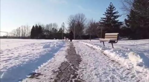 Winter walk along the Rideau River, Ontario Canada 