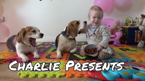 Heartwarming Bond Between Dogs and Baby