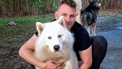 Jealous Husky Growls At Malamute & Pitbull