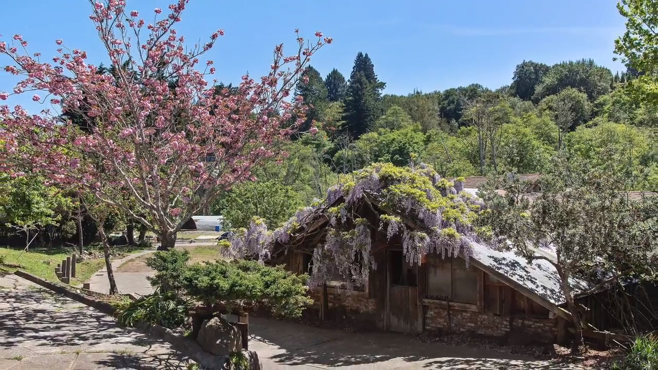 Dogtown Bolinas property for sale, near San Francisco Bay Area