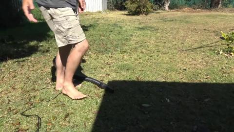 Husky & Malamute make snow on hot day