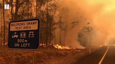 Beauty mogul under fire about Australia wildfire posts