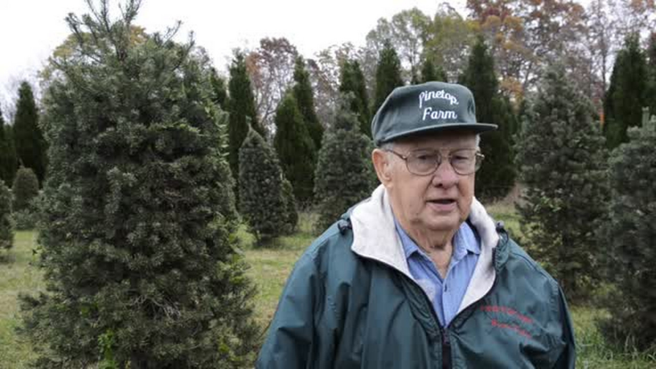 Farm Christmas trees Charlotte Observer