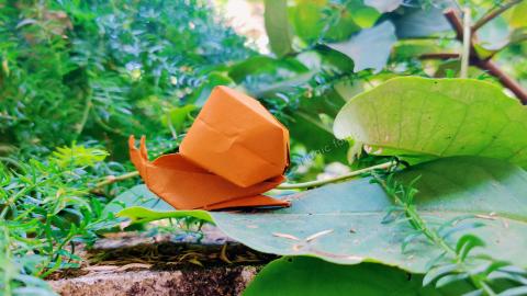 Origami Snail | Origami tutorial | Paper craft