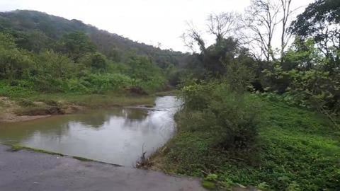Going Further Inside The Jungle | Karnataka