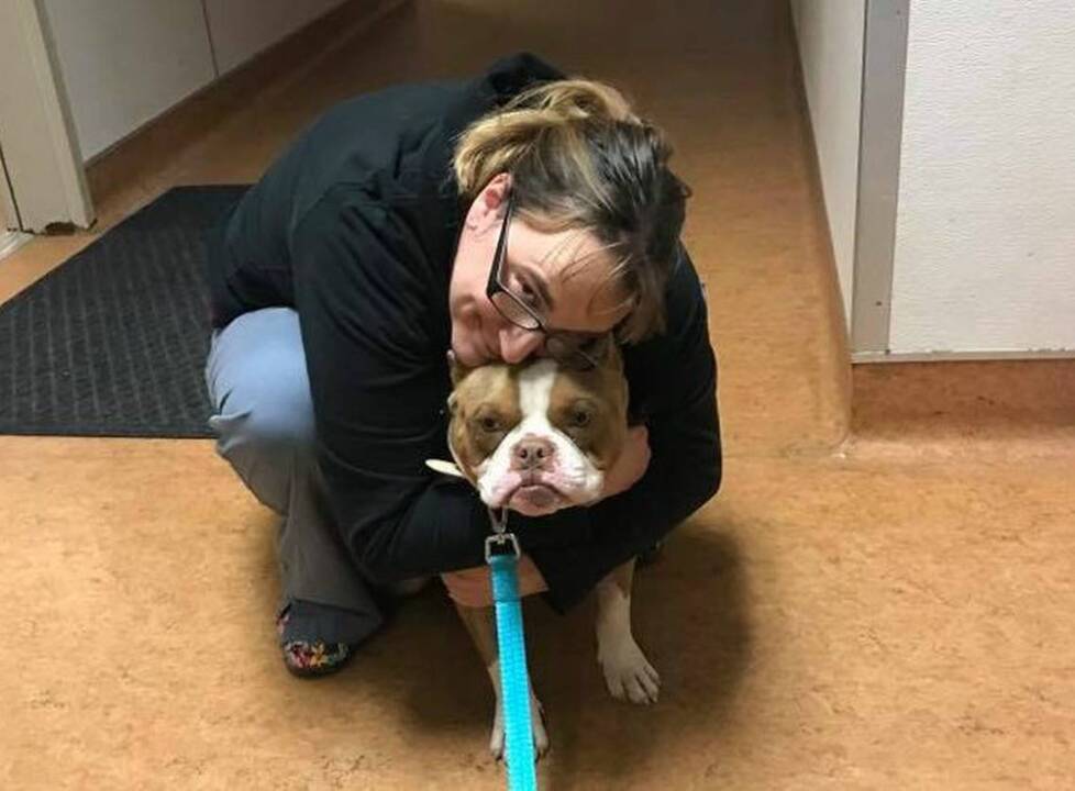 Sacramento Bradshaw shelter, foster save severely emaciated pup