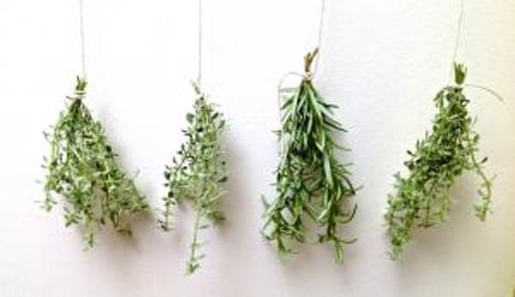 Learn How to Dry Herbs