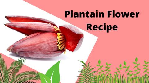 how to make plantain flower recipe quick?