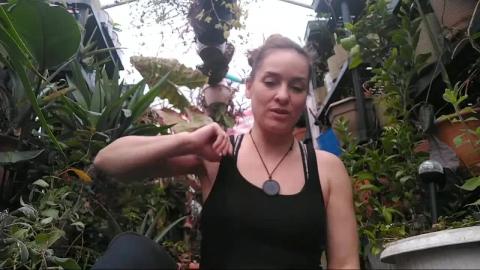 Easiest Edibles To Grow Are Kitchen Scraps: Kitchen Garde...