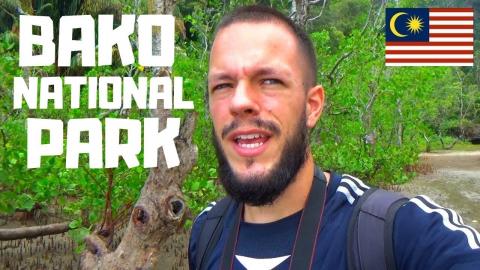 Bako National Park - Malaysian Borneo - Nature Travel Vlo...