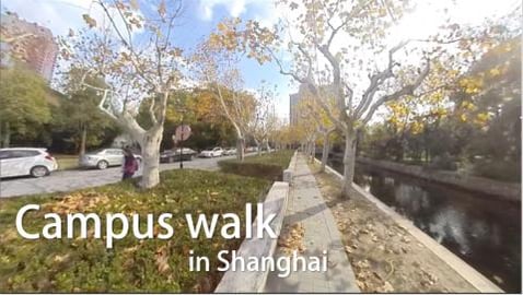 Walk beneath the autumn trees in Shanghai, China – part...