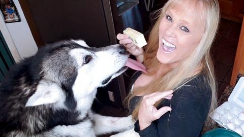 Excited Giant Malamute Wants French Toast Waffles