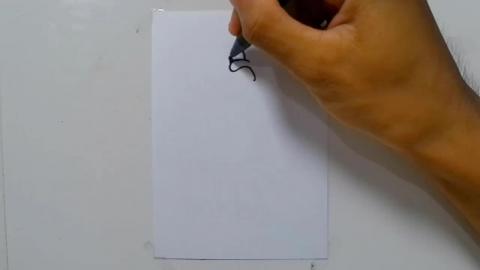 Drawing Graffiti Blue Macaw shorts