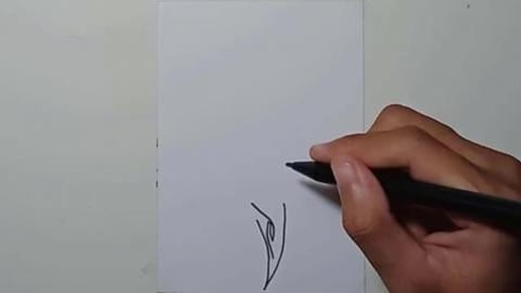 Drawing Tatto Tribal 42 shorts