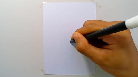 Drawing bulma_bunny_face__Dragon Ballz