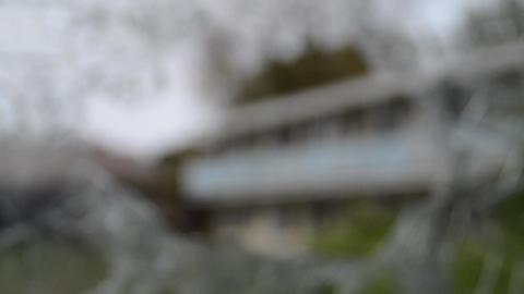 FREEKY ABANDOEND HOLIDAY PARK...