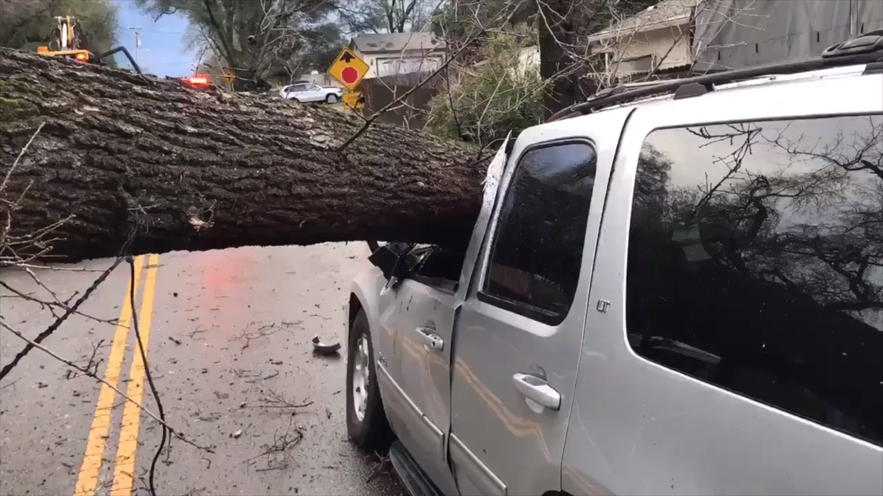 Tree falls on SUV in Loomis sending driver to hospital Sacramento Bee