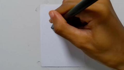 Drawing tatto v135 2024 shorts