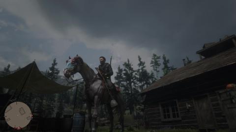 Red Dead Online Gameplay 1)