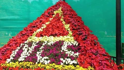 Lalbagh Flower Show | Colourful Flowers Everywhere | Beng...