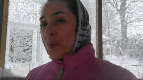 It's A Blizzard!: Homesteading with Kimberly