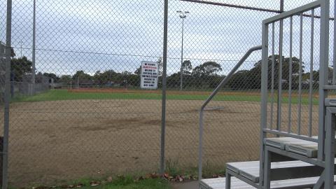 Husky visits the smelly and noisy bat colony