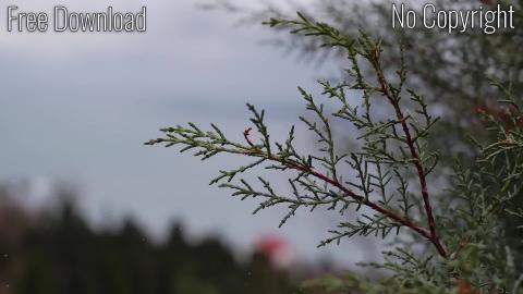 Mantra - Meditation Relax, Sleeping Relaxation- MusicLand...