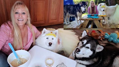 Breakfast With Tonka & Monroe | Oatmeal Waffles