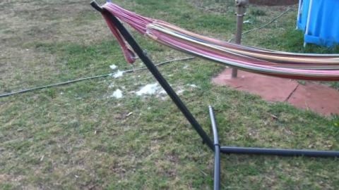 New trees for Wolf to pee on