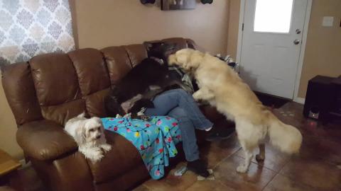 Chaos When Aunt Bonnie Visits