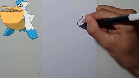 Drawing Pokemon pellipper shorts