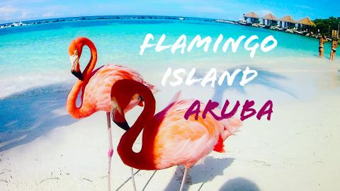Flamingo Beach Aruba & Me (I got attacked, WELP )
