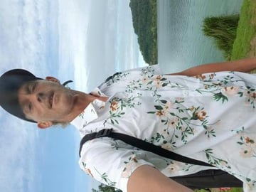 Wild cows  are standing in my way