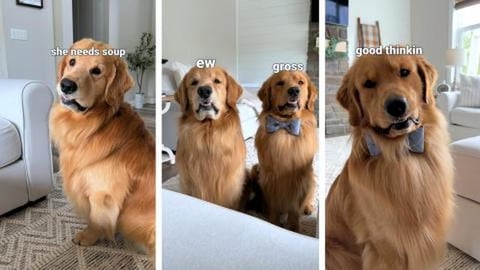 It's the thought that counts