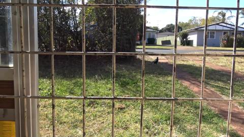 Husky & Malamute mobile needs a service. Advice welcomed....