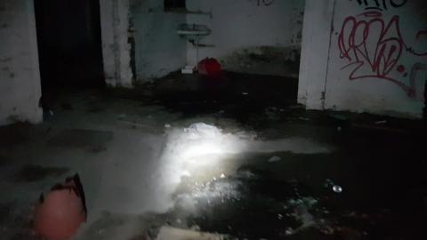 WE EXPLORE RUINS TO FIND THIS...